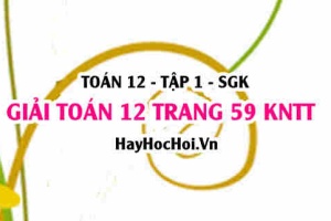 Giải Toán 12 trang 59 tập 1 Kết nối tri thức